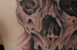 skullroses