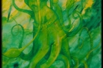 squidmaid